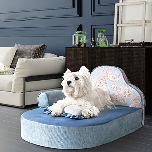 White dog resting on a blue pet sofa in a stylish living room.