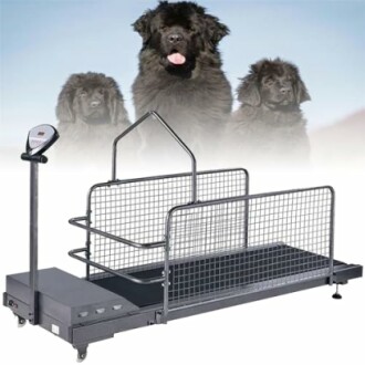 Pet Treadmill for Dogs