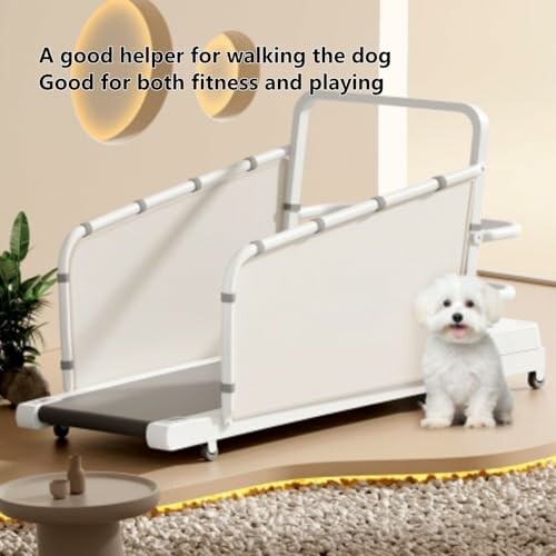 Small white dog beside a pet treadmill indoors.