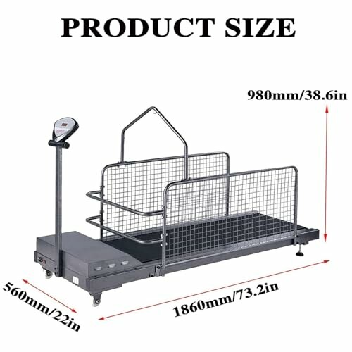 Industrial platform scale with dimensions labeled.