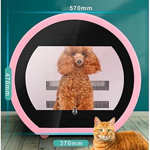 Pet dryer with a poodle inside and a cat outside.